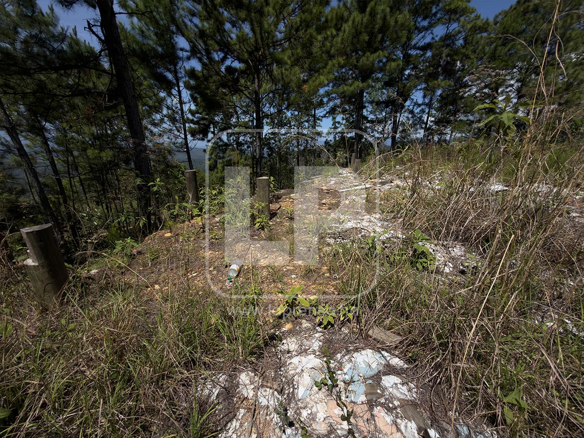 Abandono y deterioro: Así están hoy los bienes de Magdaleno Meza