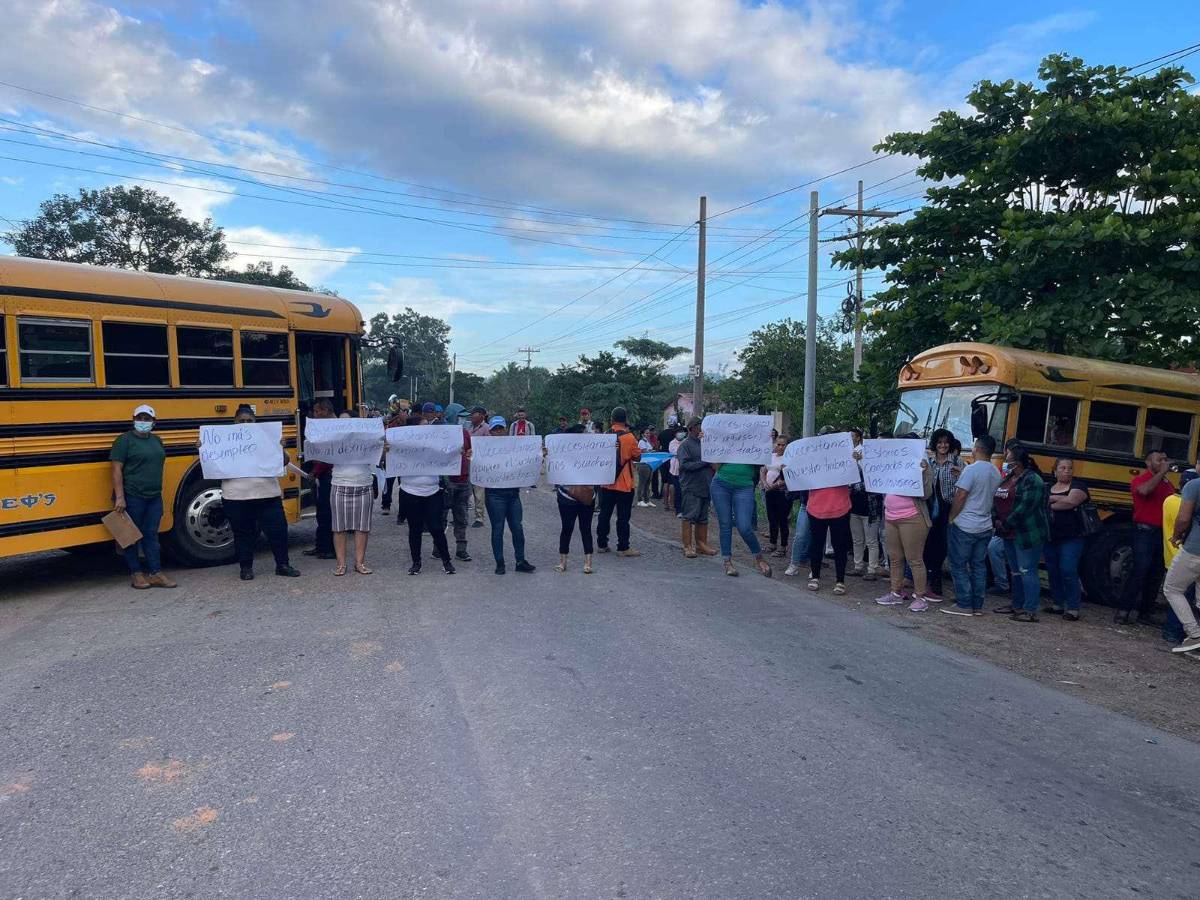 Trabajadores de fincas invadidas exigen desalojos.