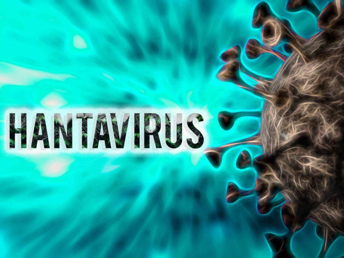 Hantavirus: ¿Qué se sabe de los nueve casos sospechosos?