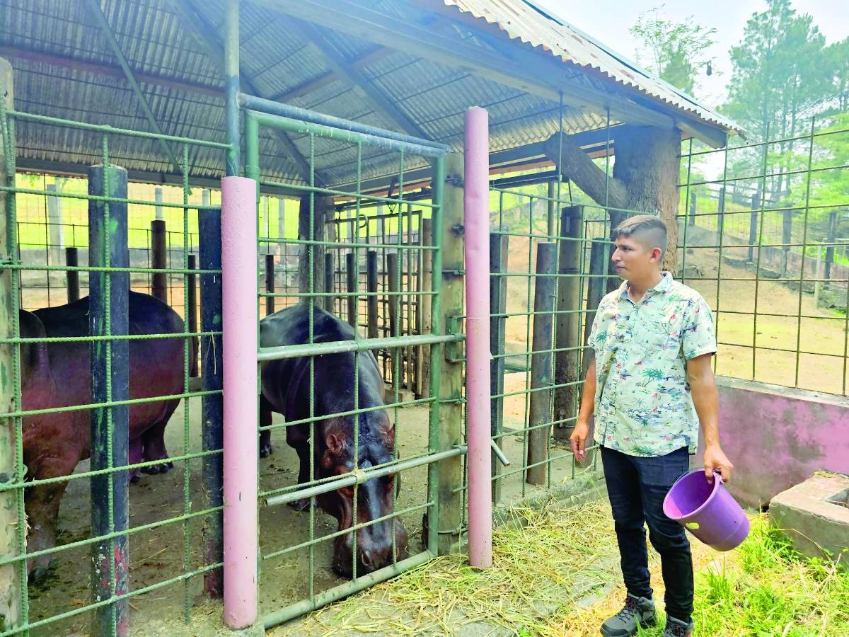 Preocupa deficiente manejo de miles de bienes incautados