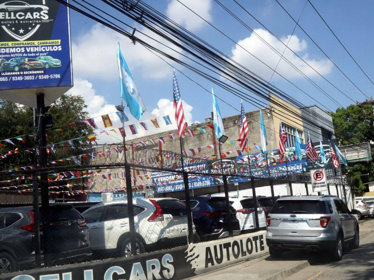 Importación de vehículos: un negocio en auge en Honduras