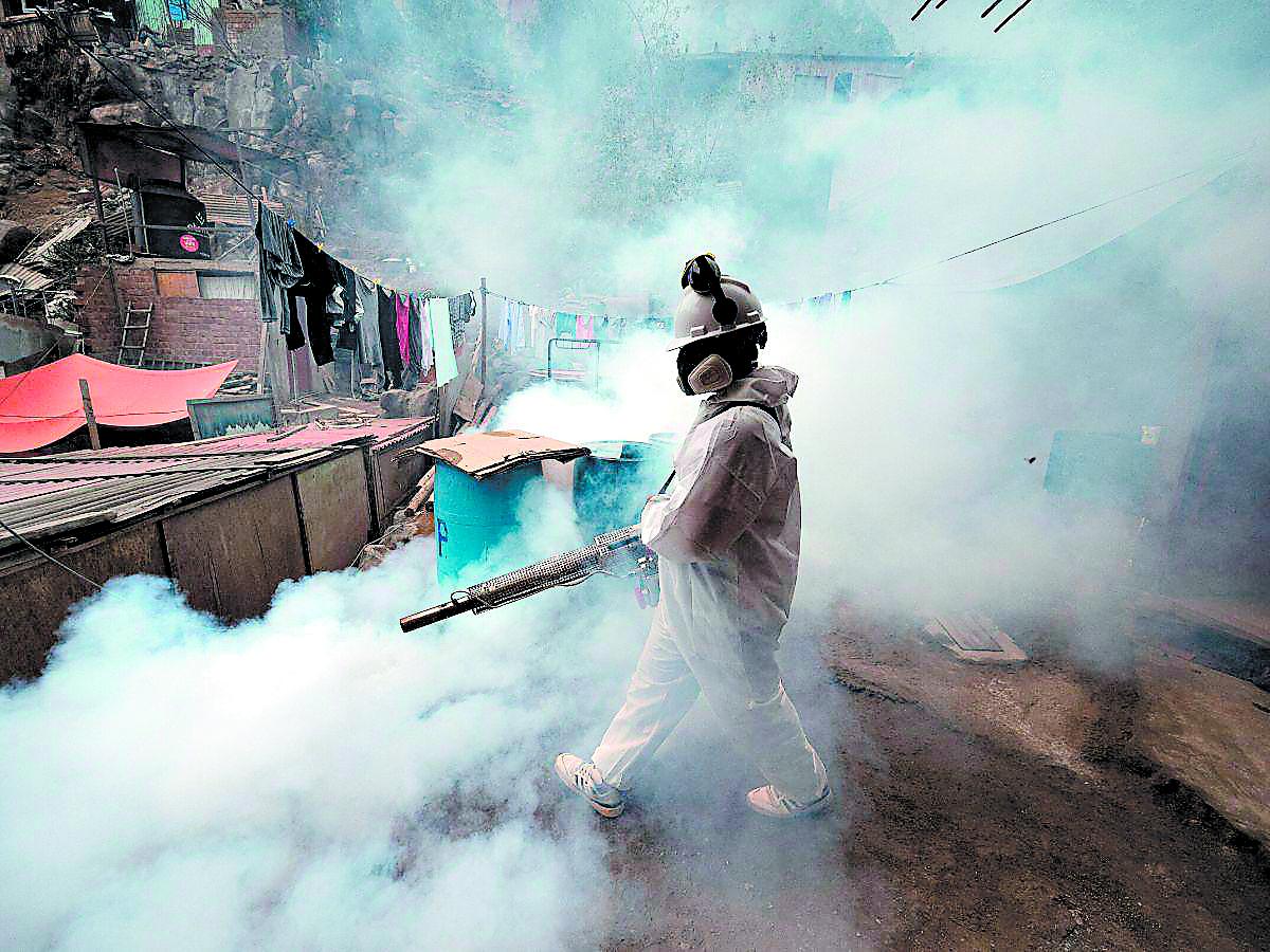 Alerta por dengue: Deben mantener sus casas limpias
