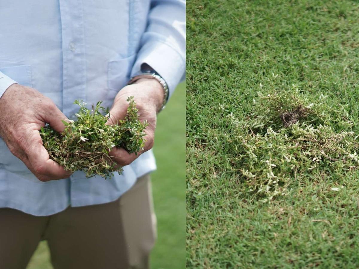 Alcalde de SPS: “Le digo al Real España y Olimpia que el clásico no se jugará en el Morazán”