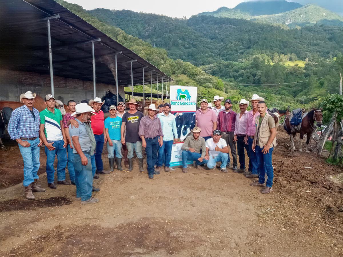 El grupo de ganaderos recibe la asistencia técnica para la formación y la extensión agropecuaria de sus fincas.
