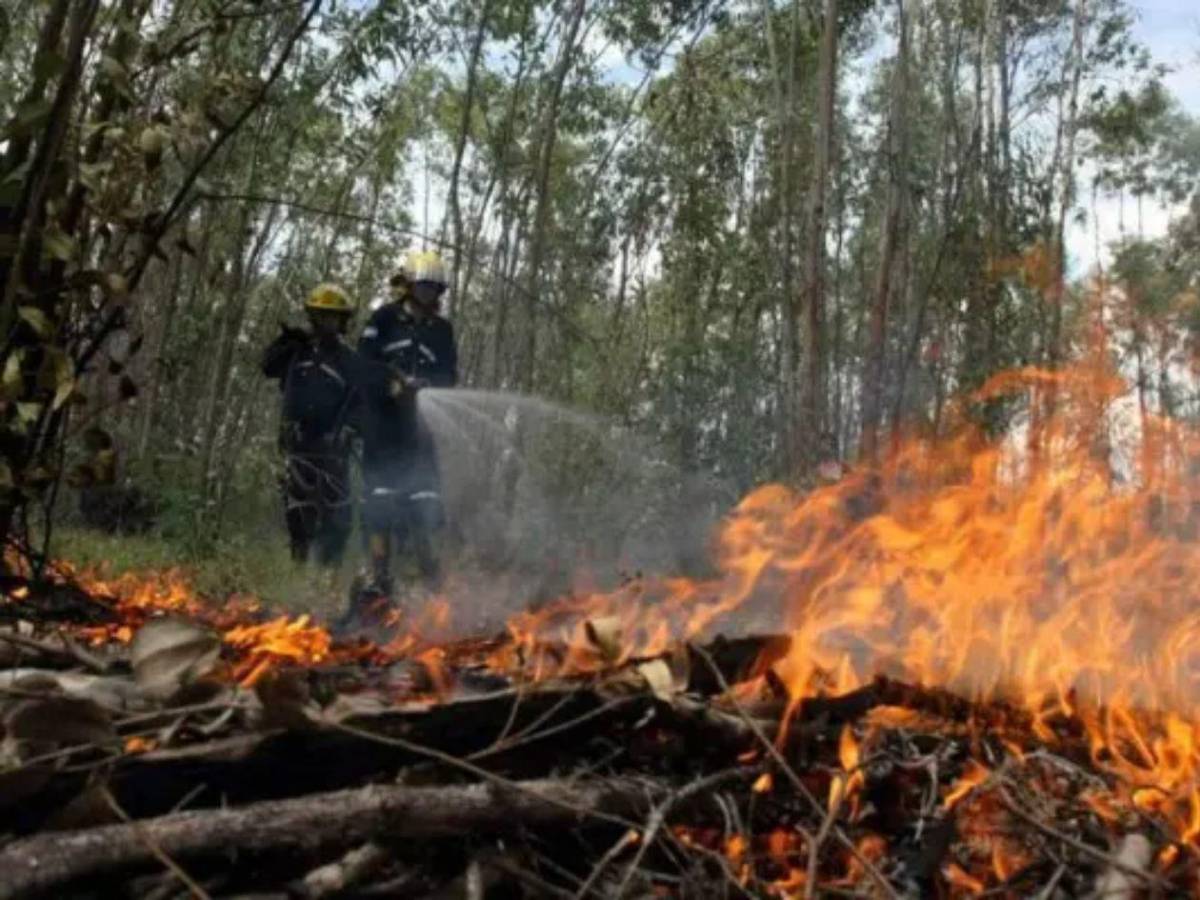 Crisis ambiental: más de 120 incendios afectan a Honduras en lo que va de 2026