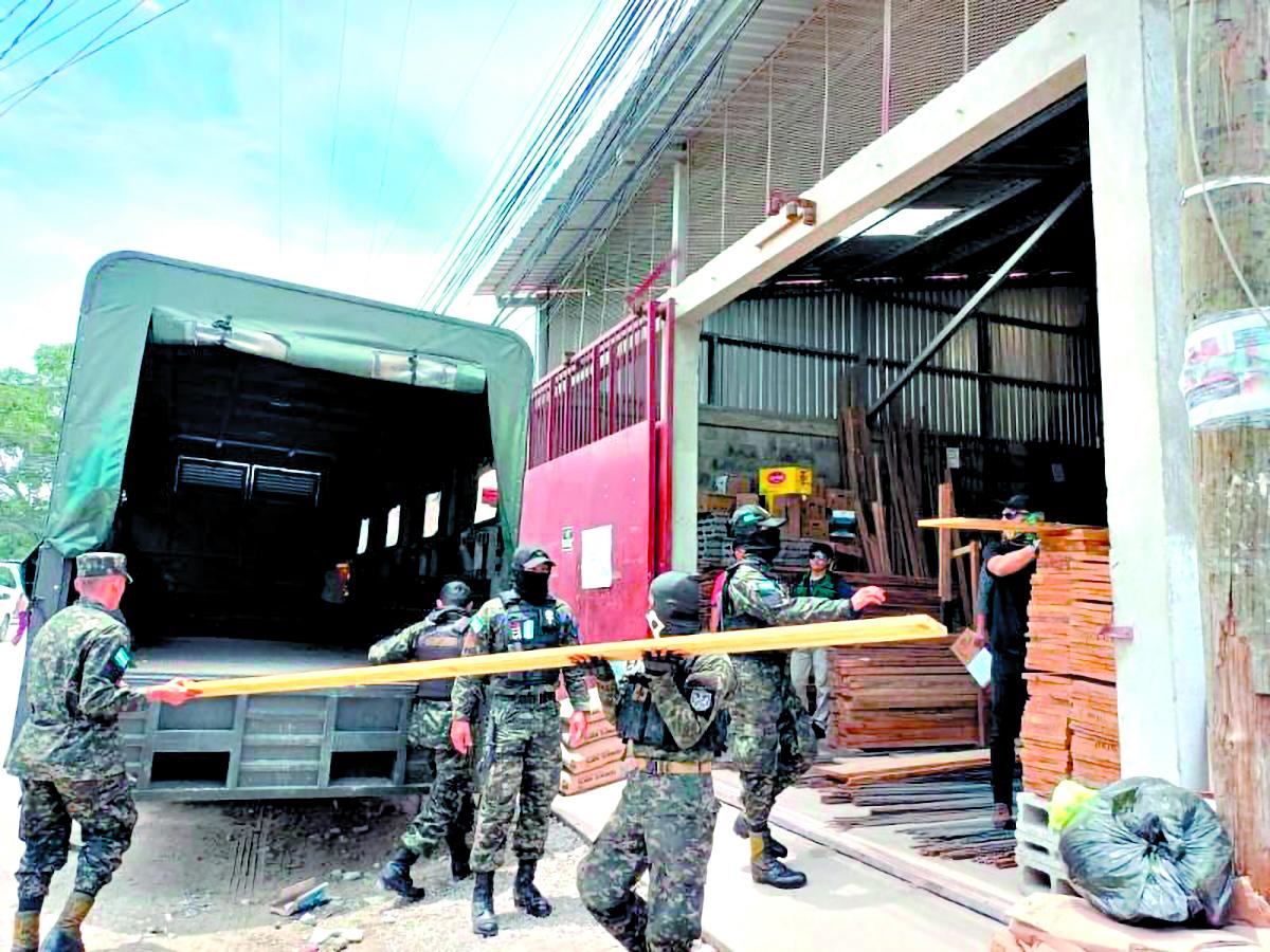 Veda por 30 años en el corte de caoba