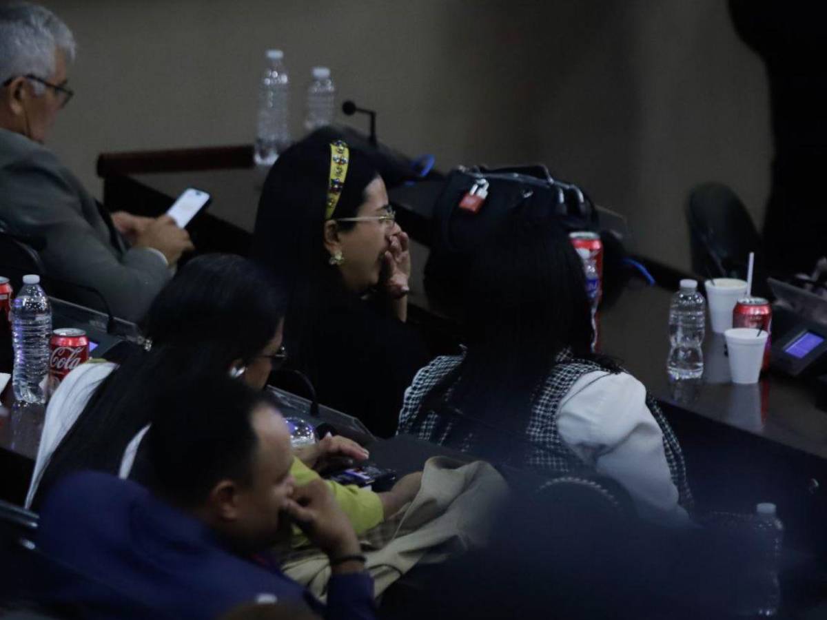 ¿Quién será el jefe de bancada del Partido Libre?