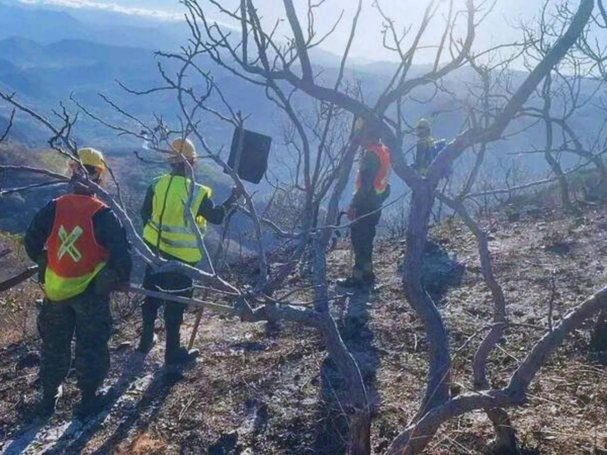 Siete días de fuego: 80 hectáreas de bosque fueron arrasadas en el sur de Lempira