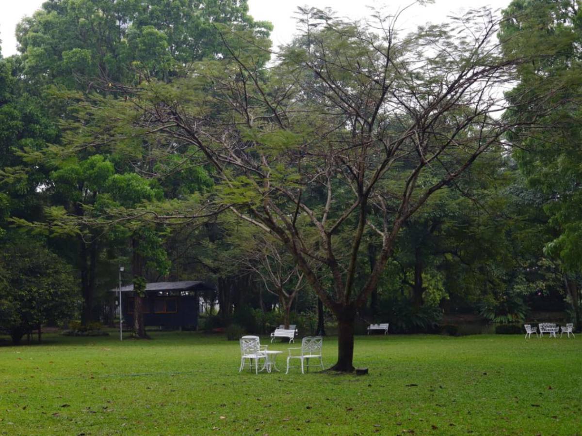 San Pedro Sula tiene su primera Reserva Natural Perpetua