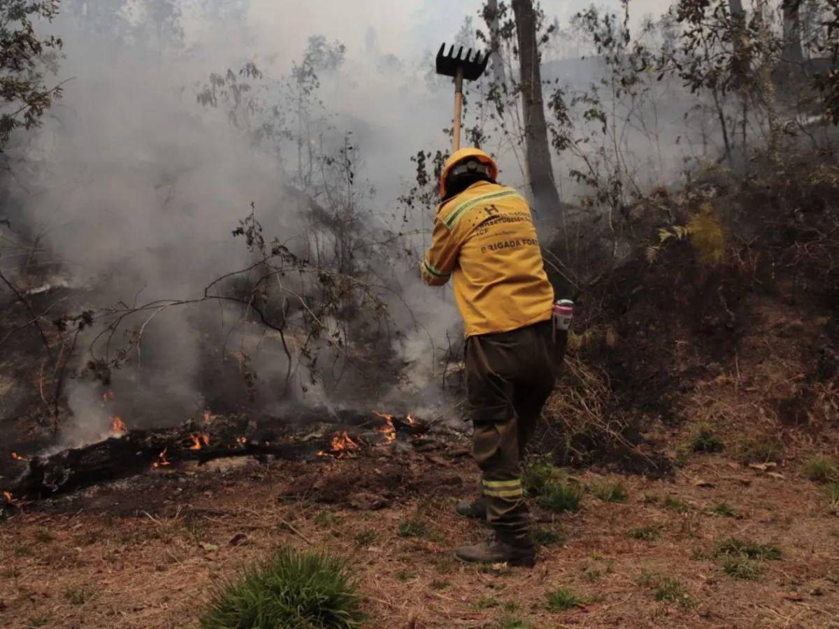 Crisis ambiental: más de 120 incendios afectan a Honduras en lo que va de 2026
