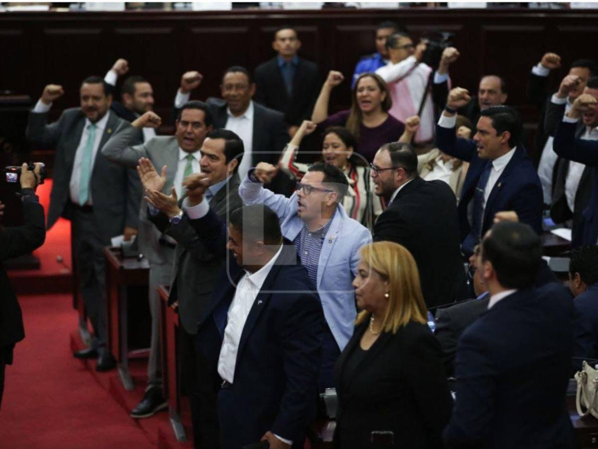 Tensión: Diputados se fueron a los empujones por destitución de Johel Zelaya