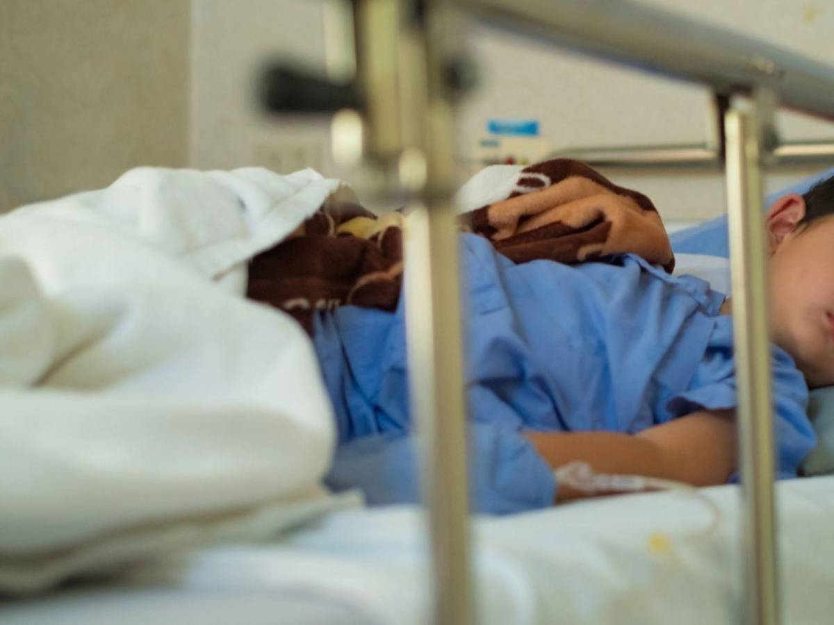 Fallece niño de 11 años tras contraer rabia por contacto con un murciélago mientras dormía