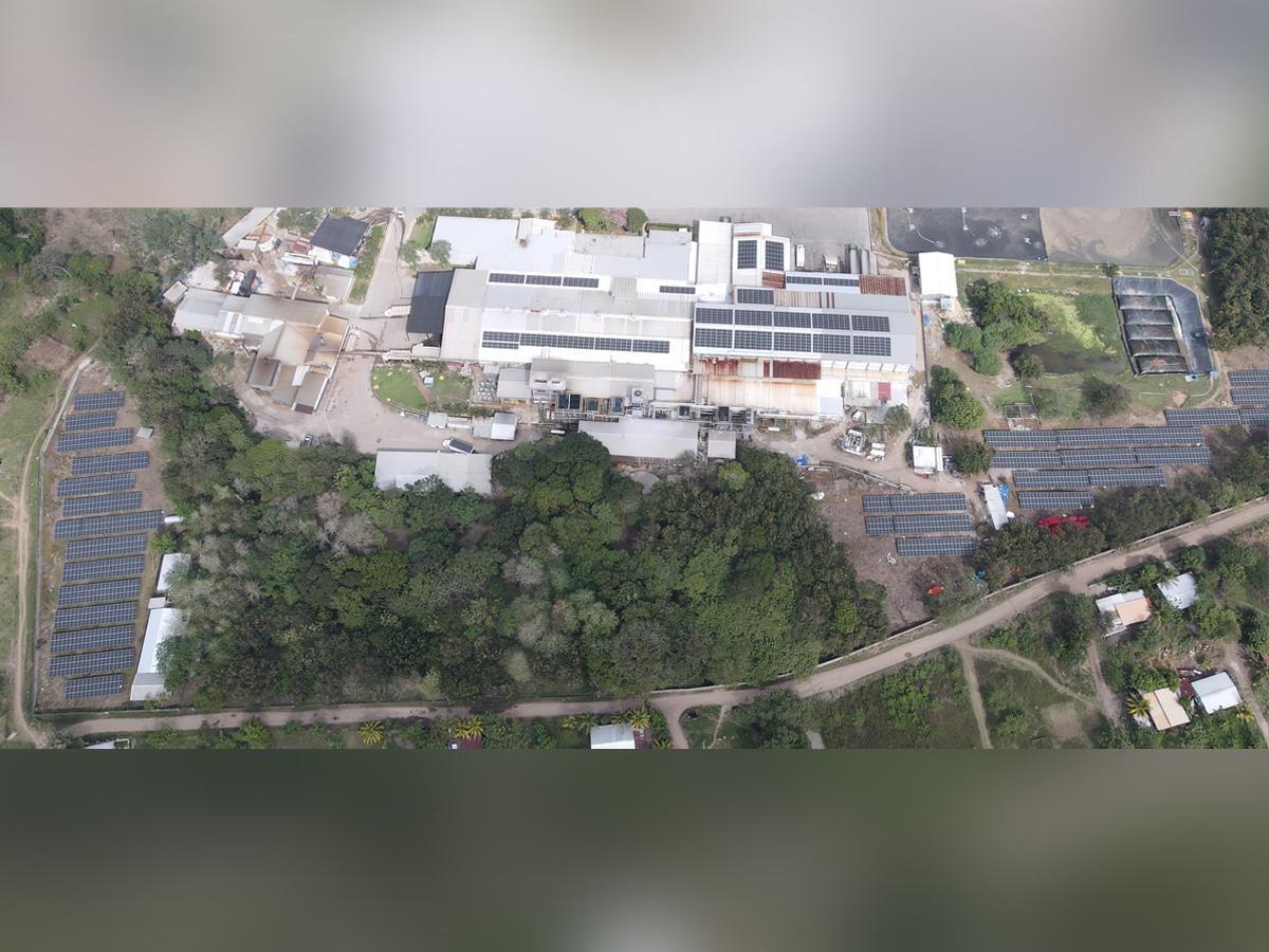 CMI es un actor fundamental en la región para la promoción del desarrollo sostenible, la seguridad alimentaria y el crecimiento económico.