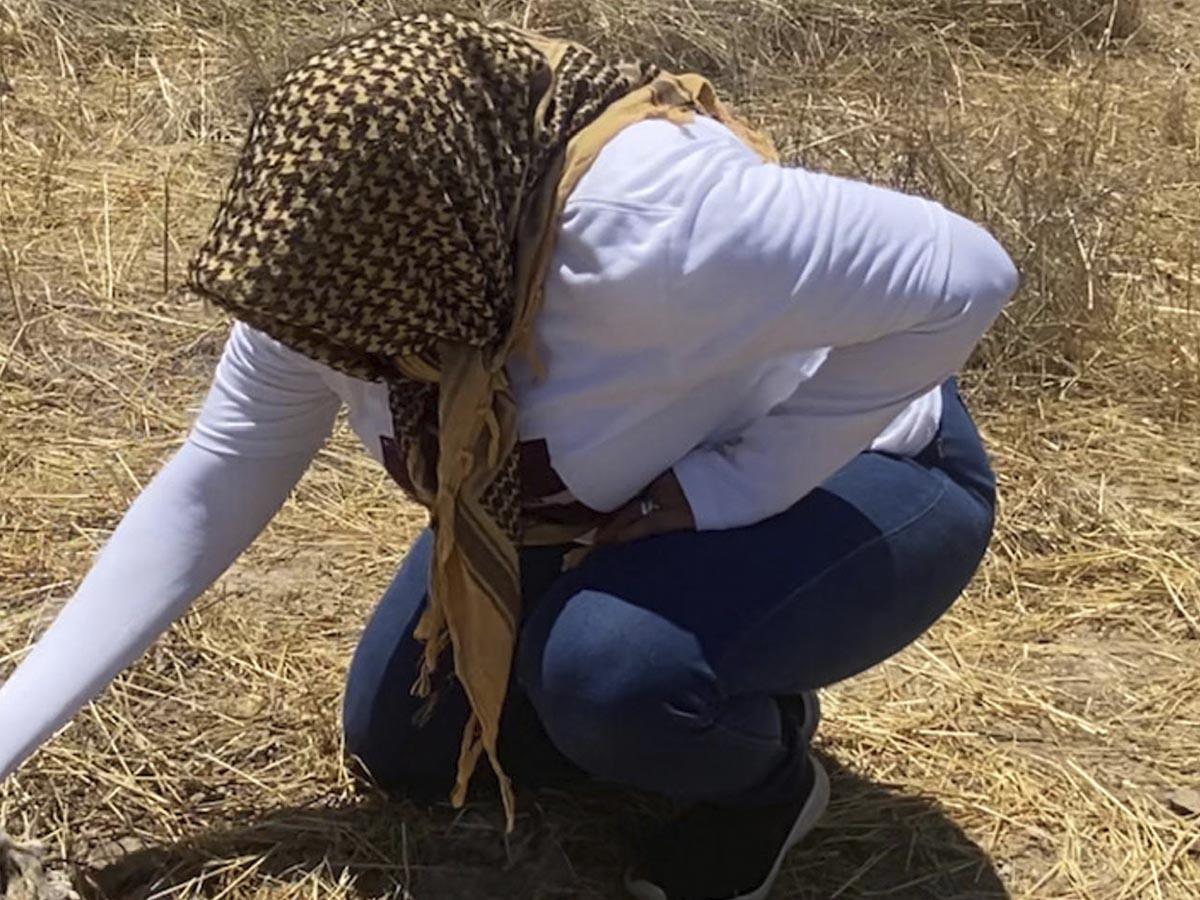 Hallan 15 cadáveres en fosas clandestinas en el sur de México