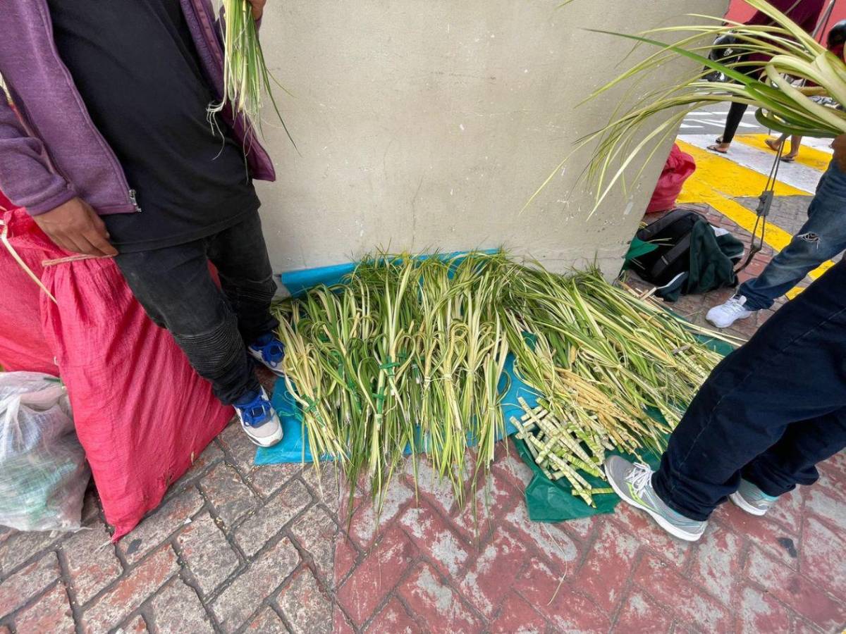 Comayagua se alista para el Domingo de Ramos entre fe y turismo