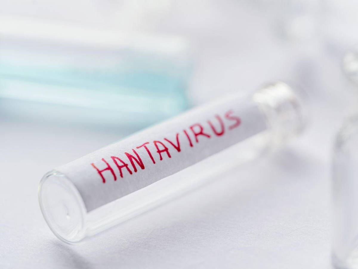 Hantavirus: ¿Qué se sabe de los nueve casos sospechosos?