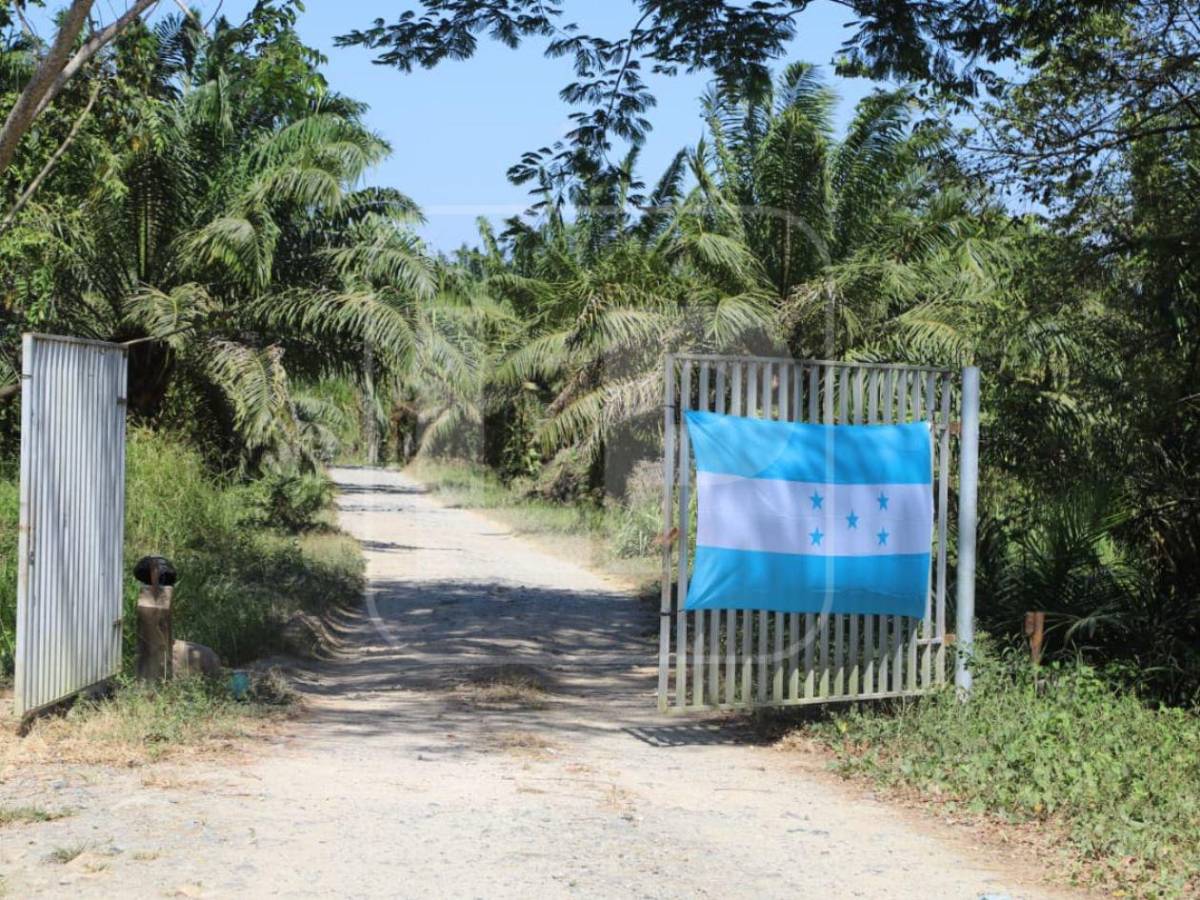 Matanza en la finca Paso Aguán: exclusivas fotos de la escena del crimen