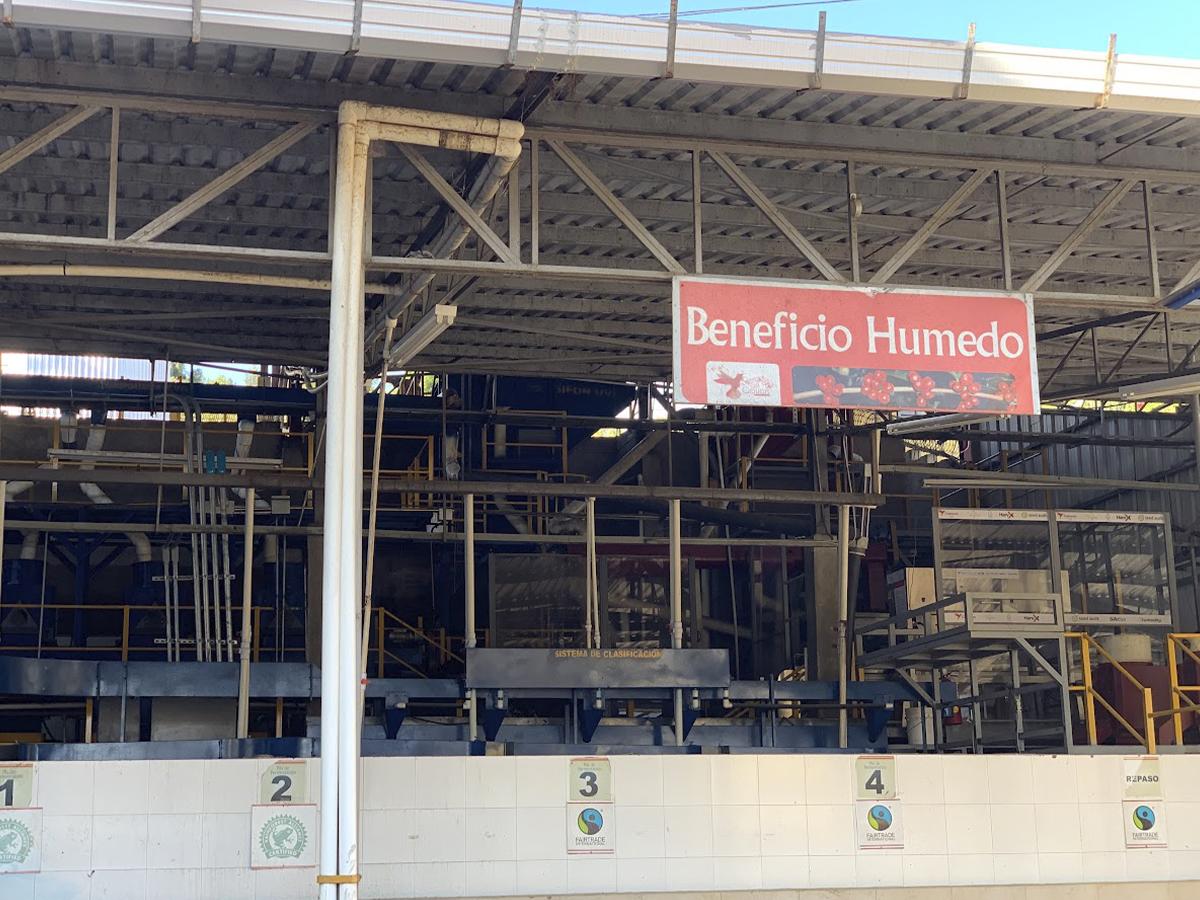 El beneficio húmedo en la Finca Cafetalera Capucas es una fase crucial en la producción del café, donde se lleva a cabo el procesamiento de los granos recién cosechados para garantizar la máxima calidad en cada taza.