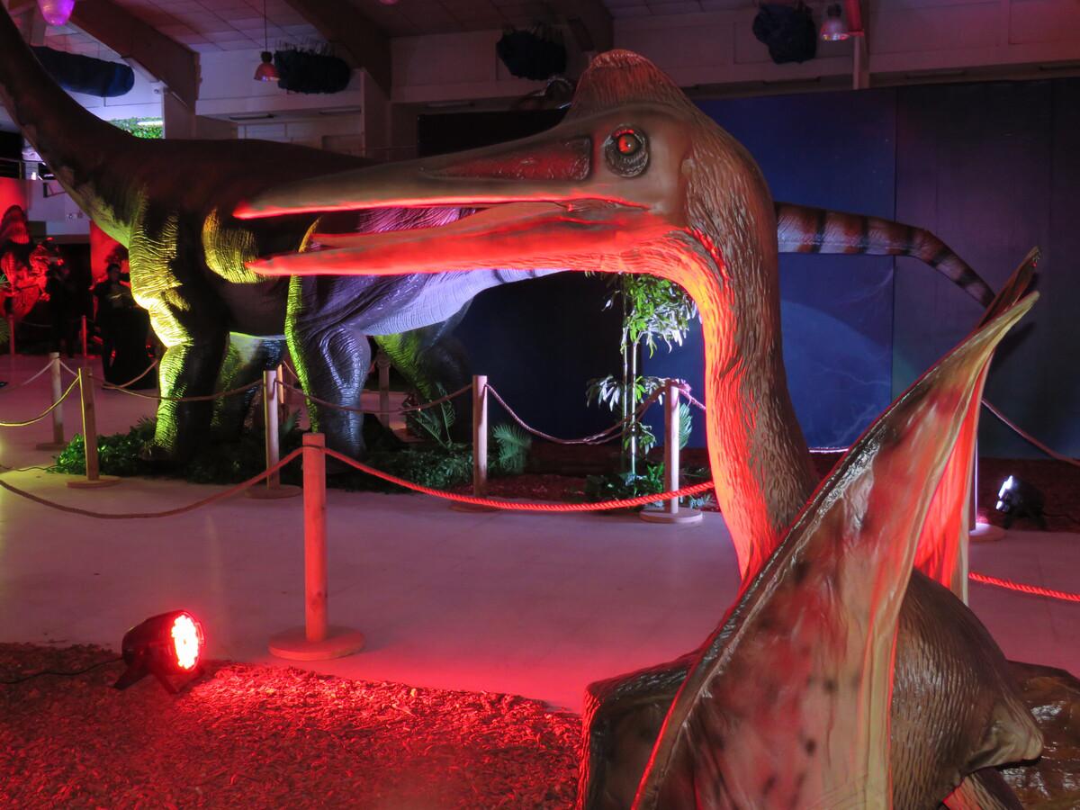 Venga y disfrute de la exhibición que Ficohsa ha preparado para las familias.