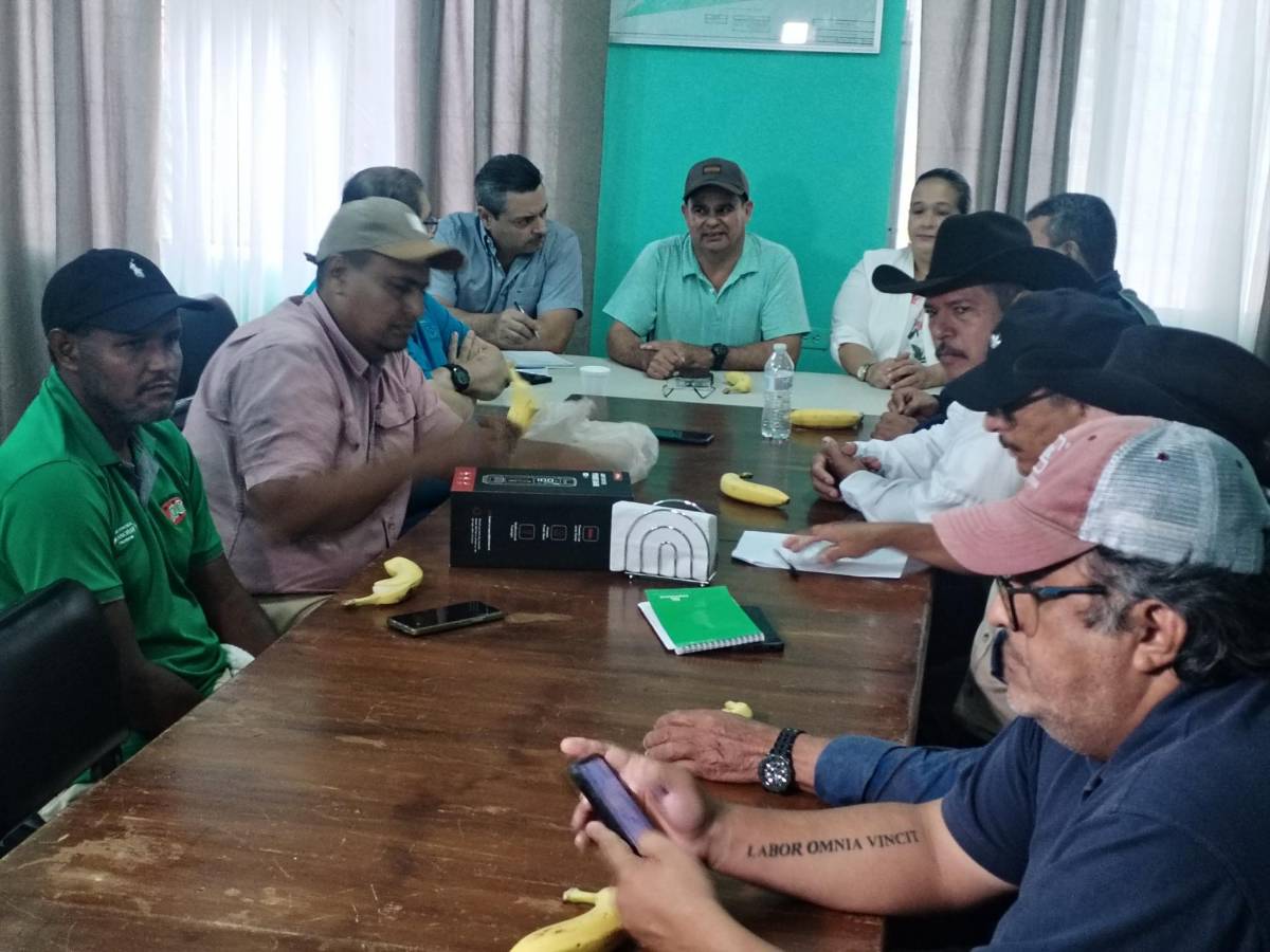 Los ganaderos se reunieron este martes y cuantificaron las pérdidas y daños provocados por la tormenta Sara en el litoral Atlántico.