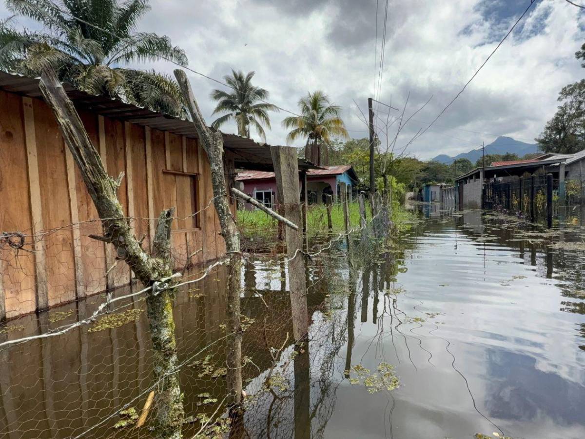 Así lucen las zonas inundadas por el aumento del nivel del Lago de Yojoa