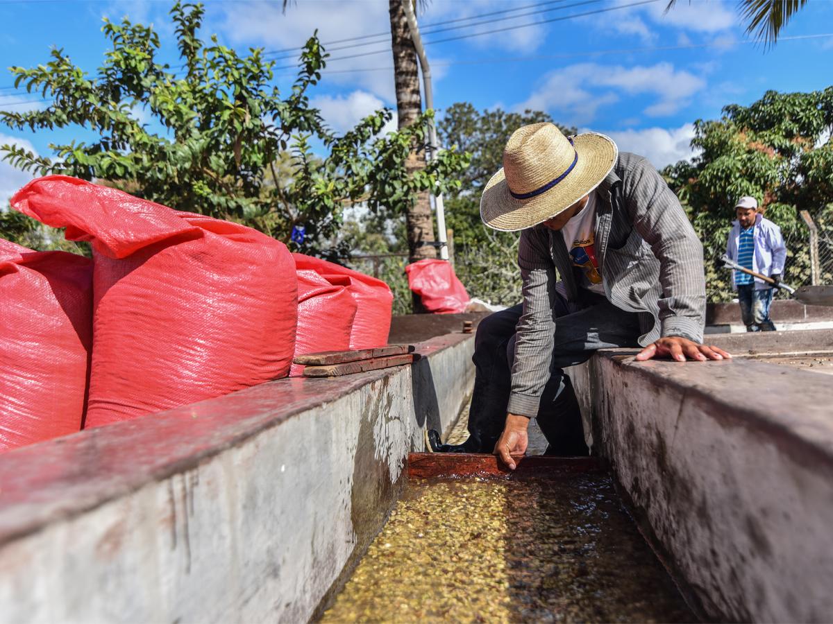Con su crecimiento a nivel nacional, Espresso Americano tiene un impacto profundo en el desarrollo de las comunidades donde opera.
