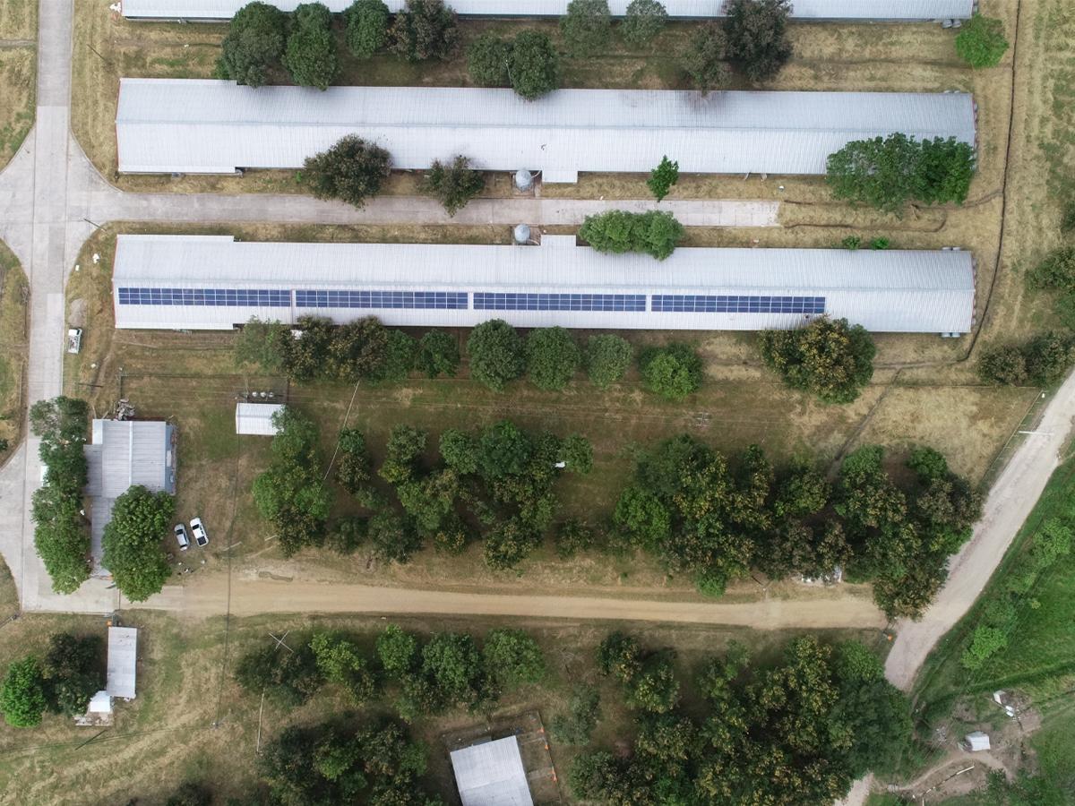 En los últimos 10 años, CMI ha evitado más de 110,000 toneladas de CO2.