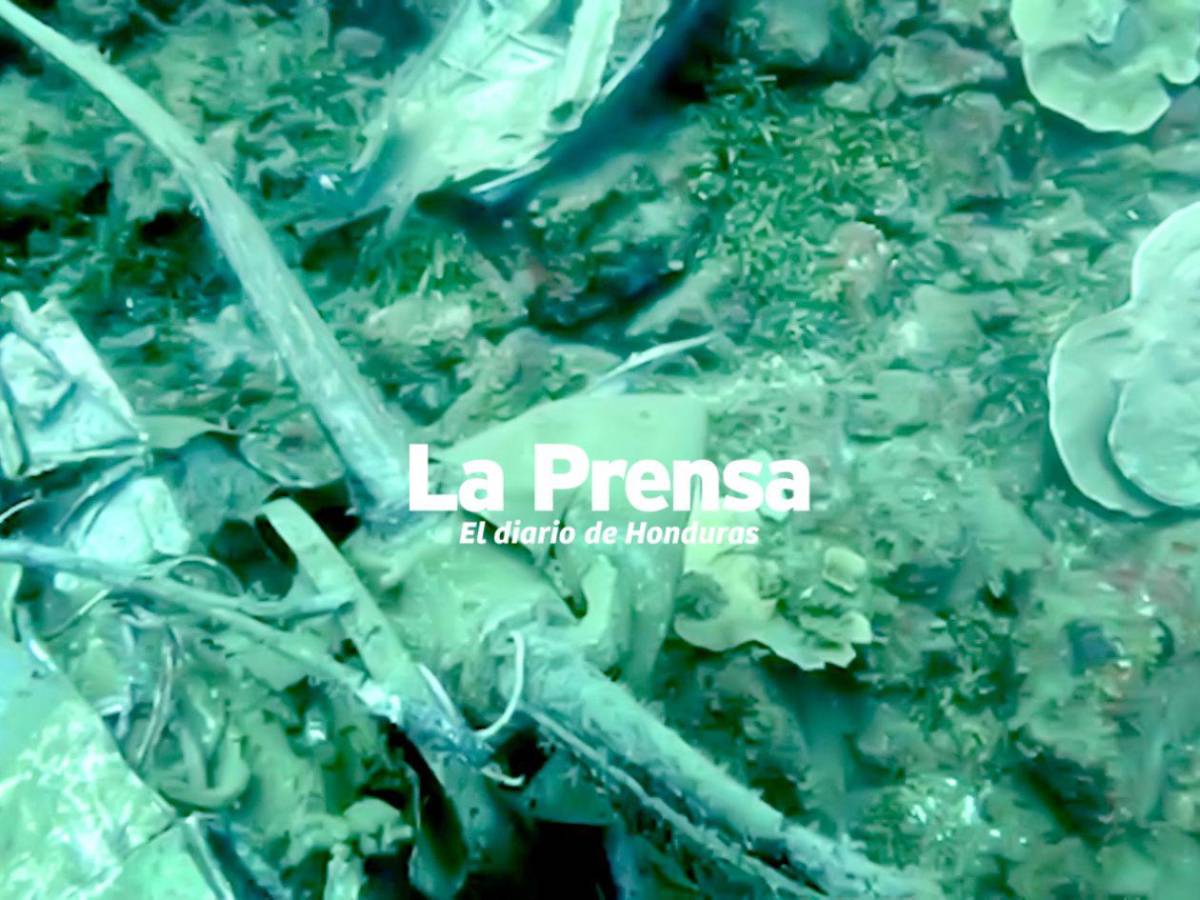 Fotos inéditas: restos del avión del vuelo LNH-018 hundido en Roatán