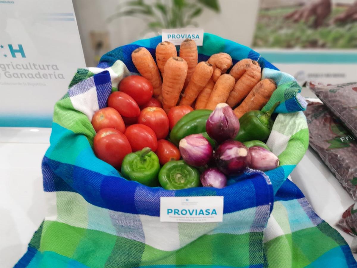 SAG brindará apoyo financiero y técnico a 50,700 agricultores