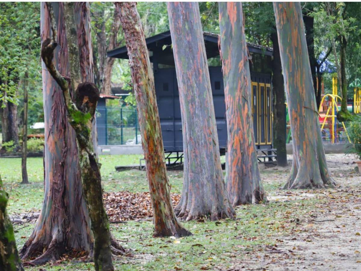 San Pedro Sula tiene su primera Reserva Natural Perpetua