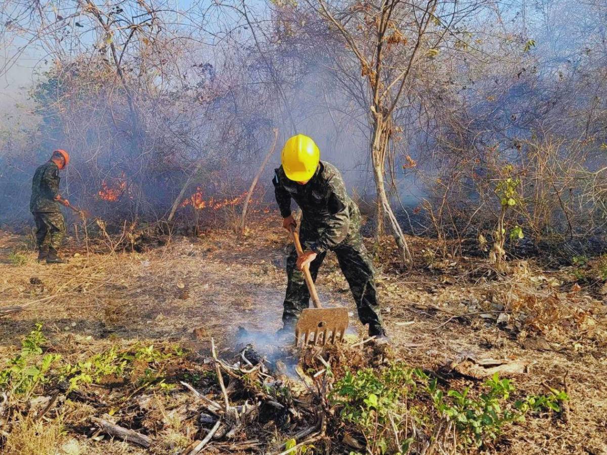 Siete días de fuego: 80 hectáreas de bosque fueron arrasadas en el sur de Lempira