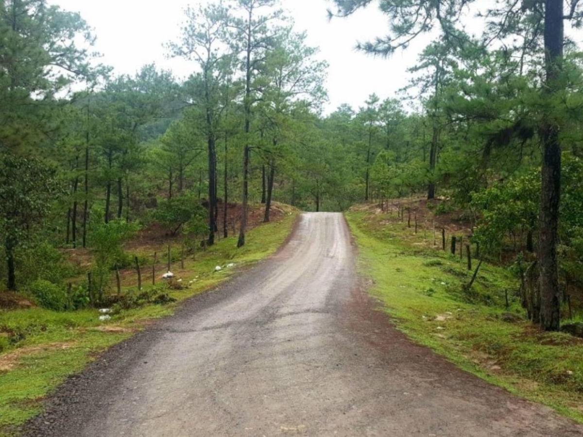 Anduvimos en el monte: así fue el rapto y la liberación de Mario Reyes en Santa Bárbara