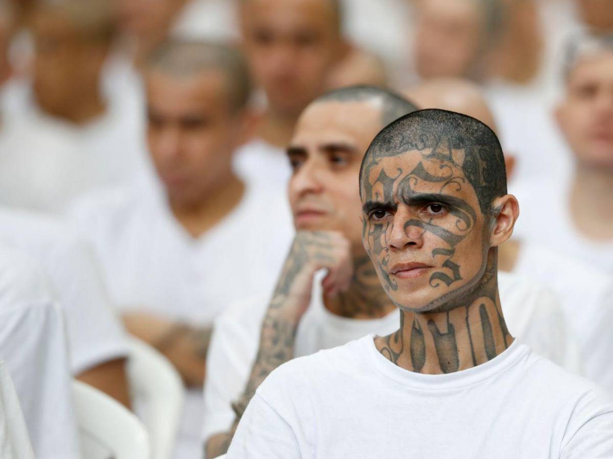 Inédito megajuicio contra más de 400 presuntos pandilleros