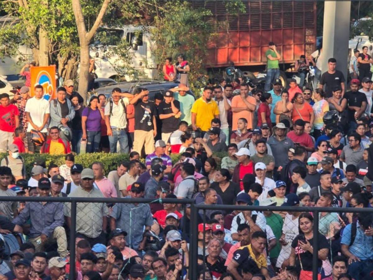 Inversionistas de Koriun que destruyeron 5 carros de la Atic podrían ir a la cárcel