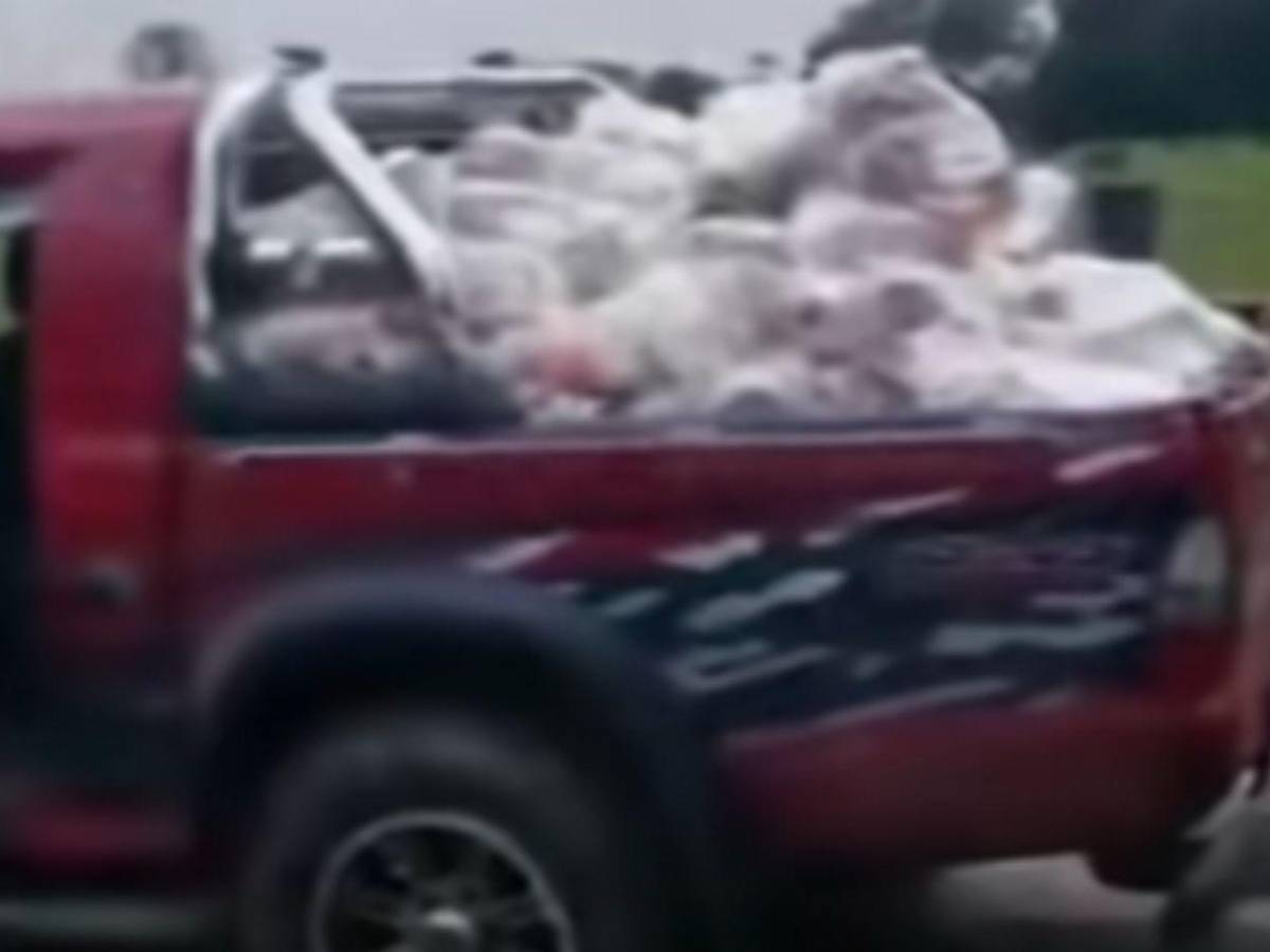 Hasta con provisiones se ganaba Koriun la confianza de los socios