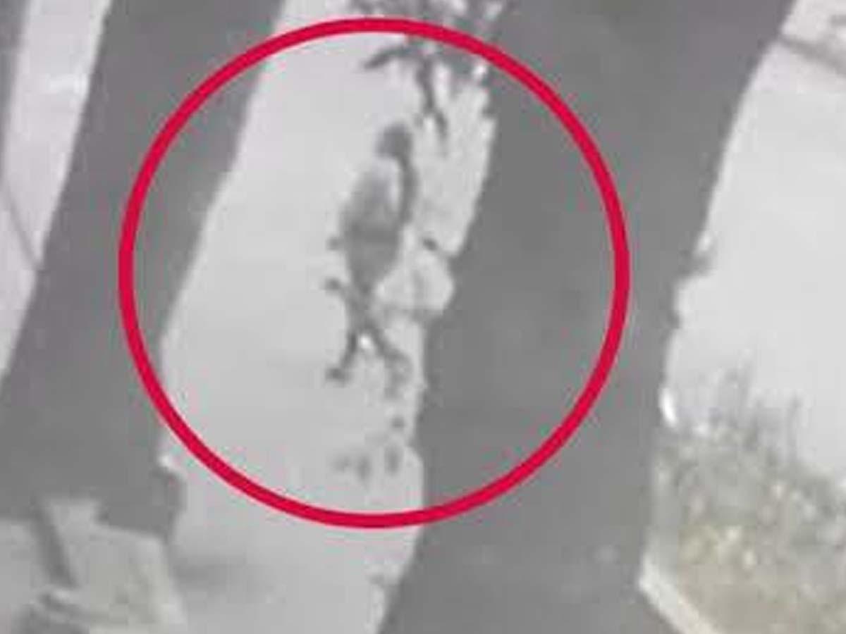 Caso de Edith se vuelve perturbador: Salió a buscar trabajo y no volvió a casa