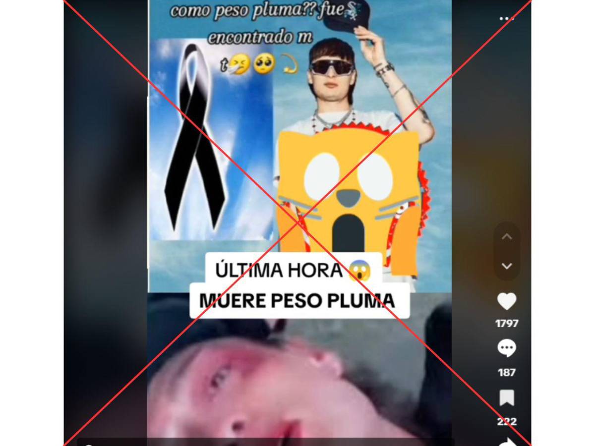 <p>Captura de pantalla a una publicación de TikTok hecha el 29 de noviembre de 2024, adaptada a esta cartela.</p>
