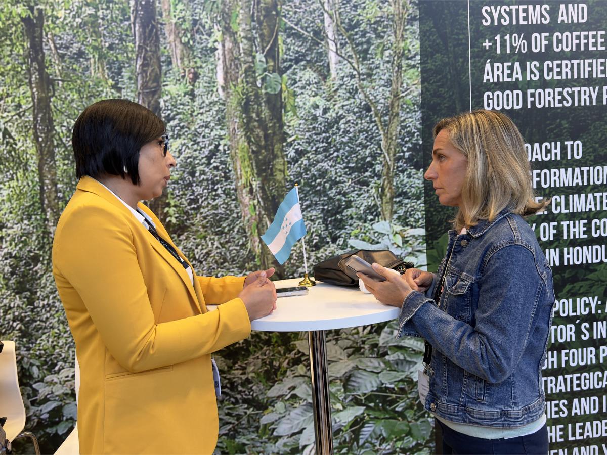 En World of Coffee 2024 participan los actores principales en la cadena de valor del café.