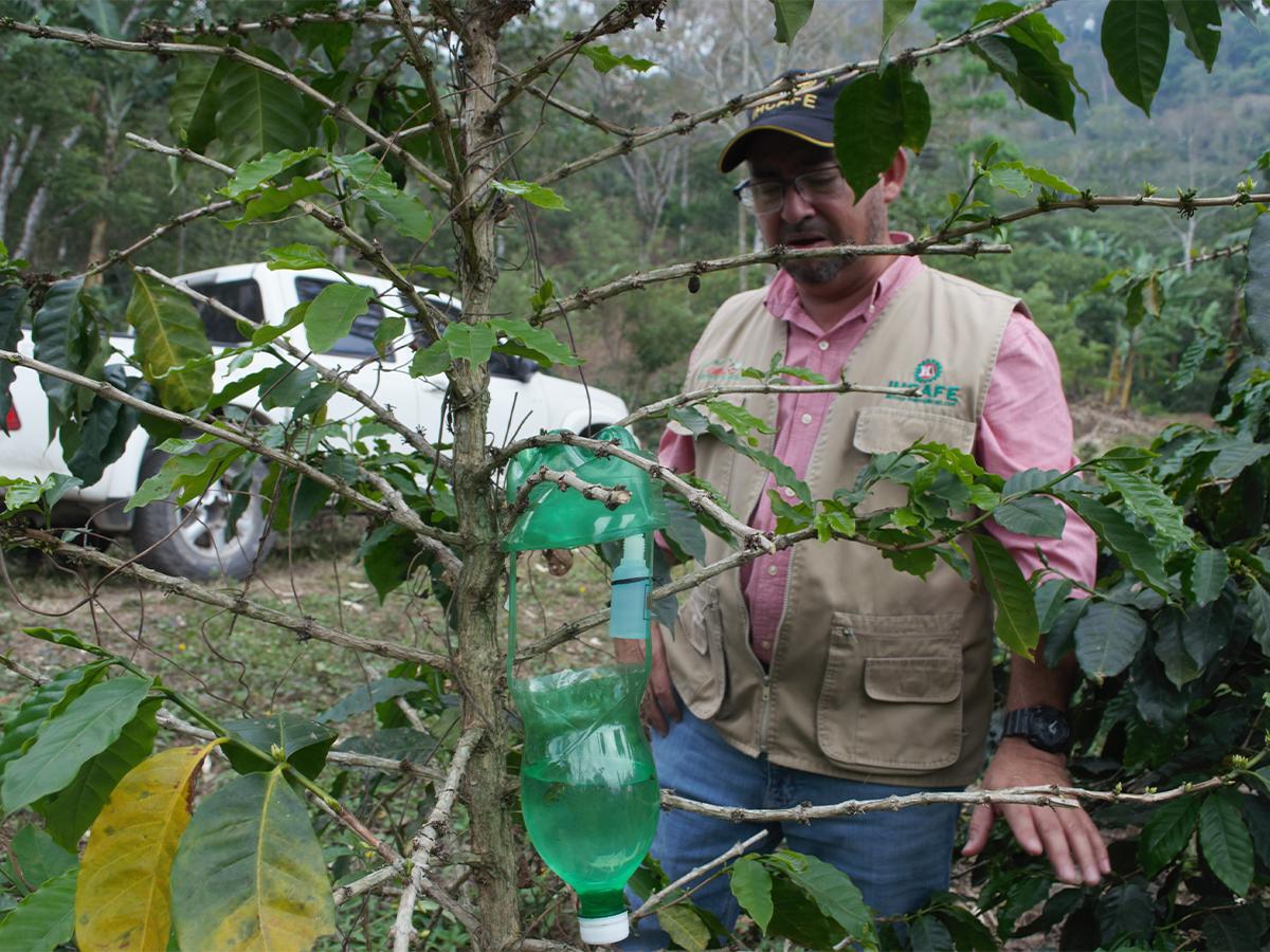 Finca Madre Linda no solo se distingue por su enfoque en la equidad de género, sino también por su compromiso con la sostenibilidad.
