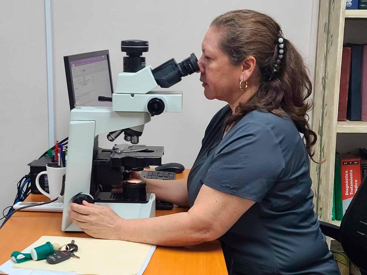 Remodelan área de patología del hospital Mario Catarino Rivas