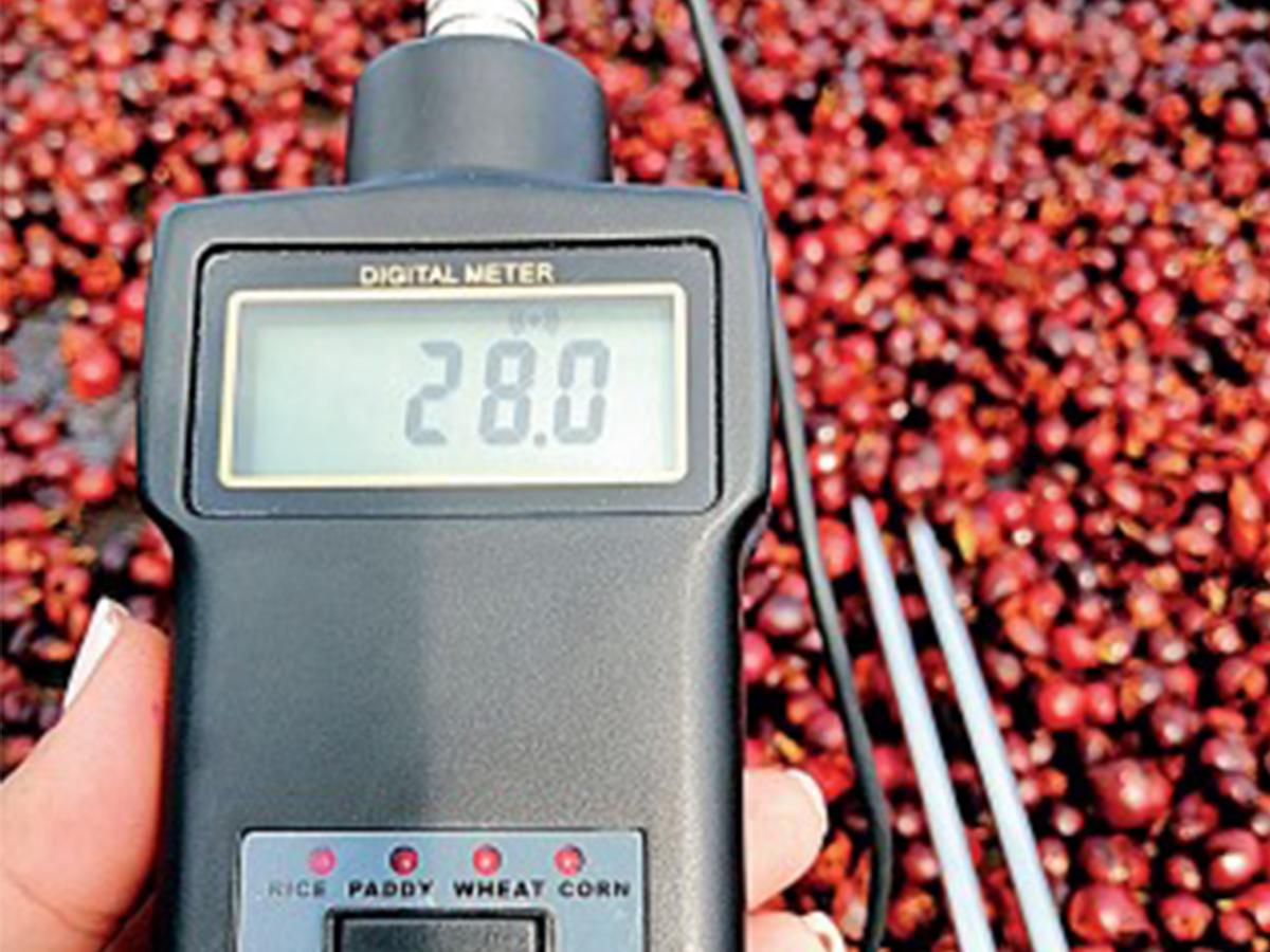 El control de humedad de la pulpa de café es un paso crucial para garantizar la calidad y seguridad de este valioso subproducto.