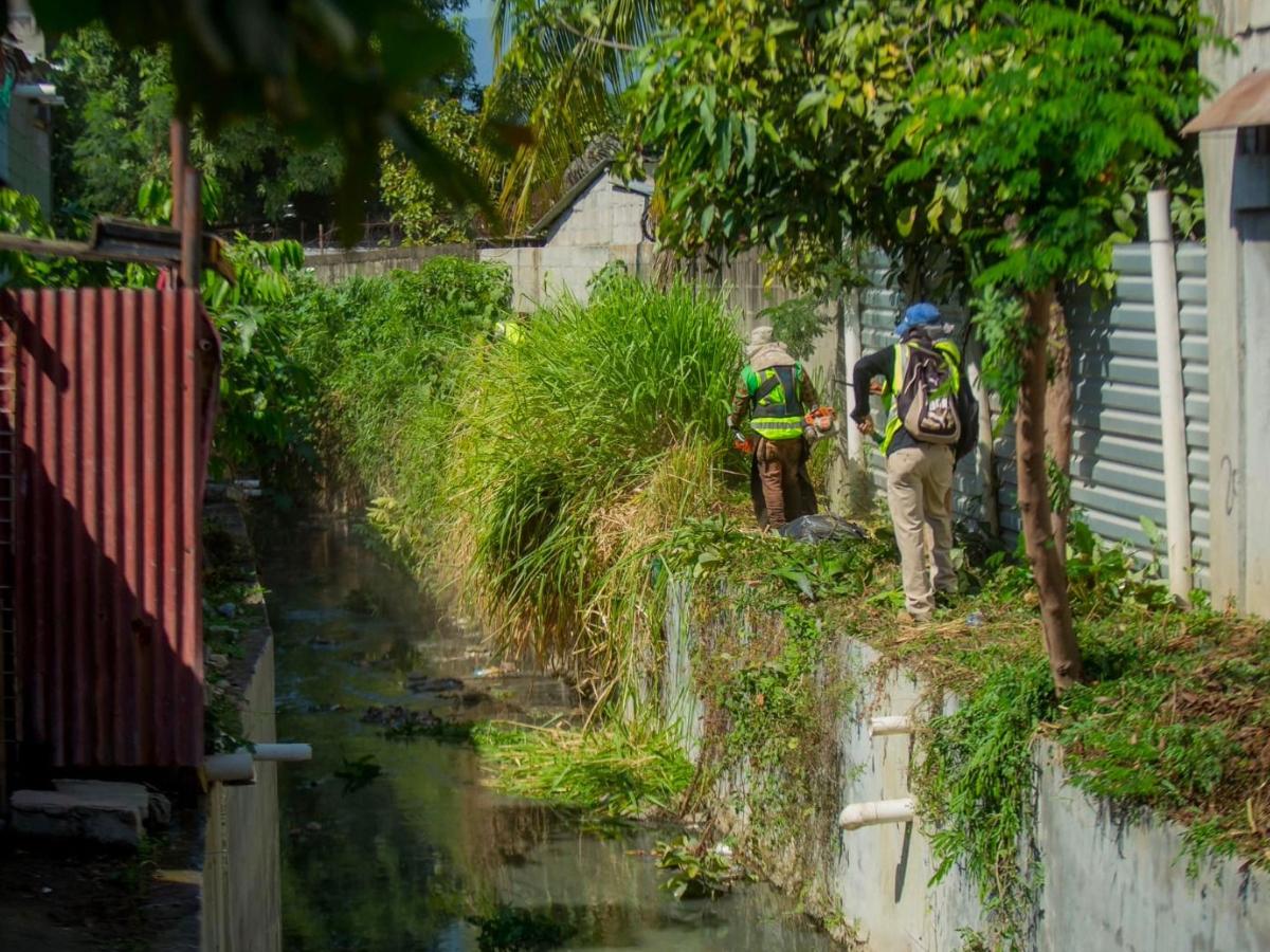 Arrecian guerra contra el zancudo en San Pedro Sula
