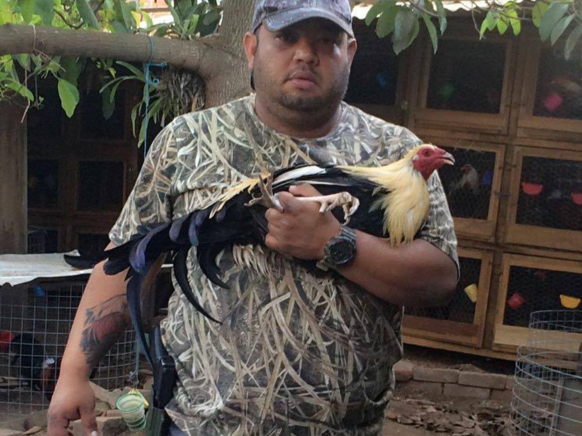 Matan a hombre que se dedicaba a la pelea de gallos en Danlí, El Paraíso