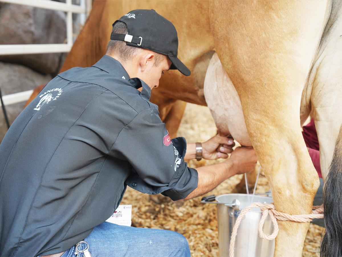 USAID, a través de Agronegocios Sostenibles, impulsa el sector ganadero por medio de sus alianzas en el sector lácteo promoviendo la ganadería sostenible.