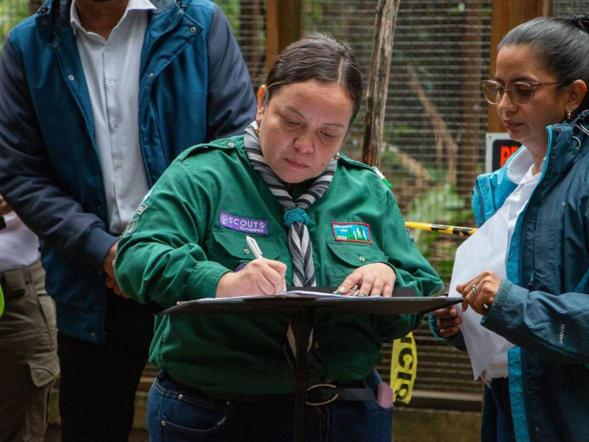 ¡Vuelen alto! Diez hermosas guacamayas vuelven a la vida silvestre en La Ceiba