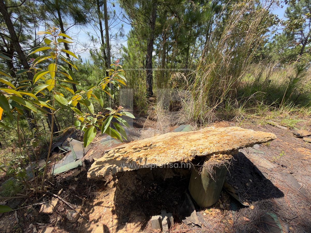 Abandono y deterioro: Así están hoy los bienes de Magdaleno Meza