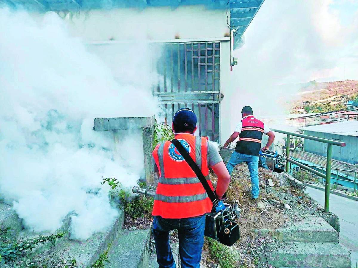 Alarma por alza de casos de dengue e influenza en Copán