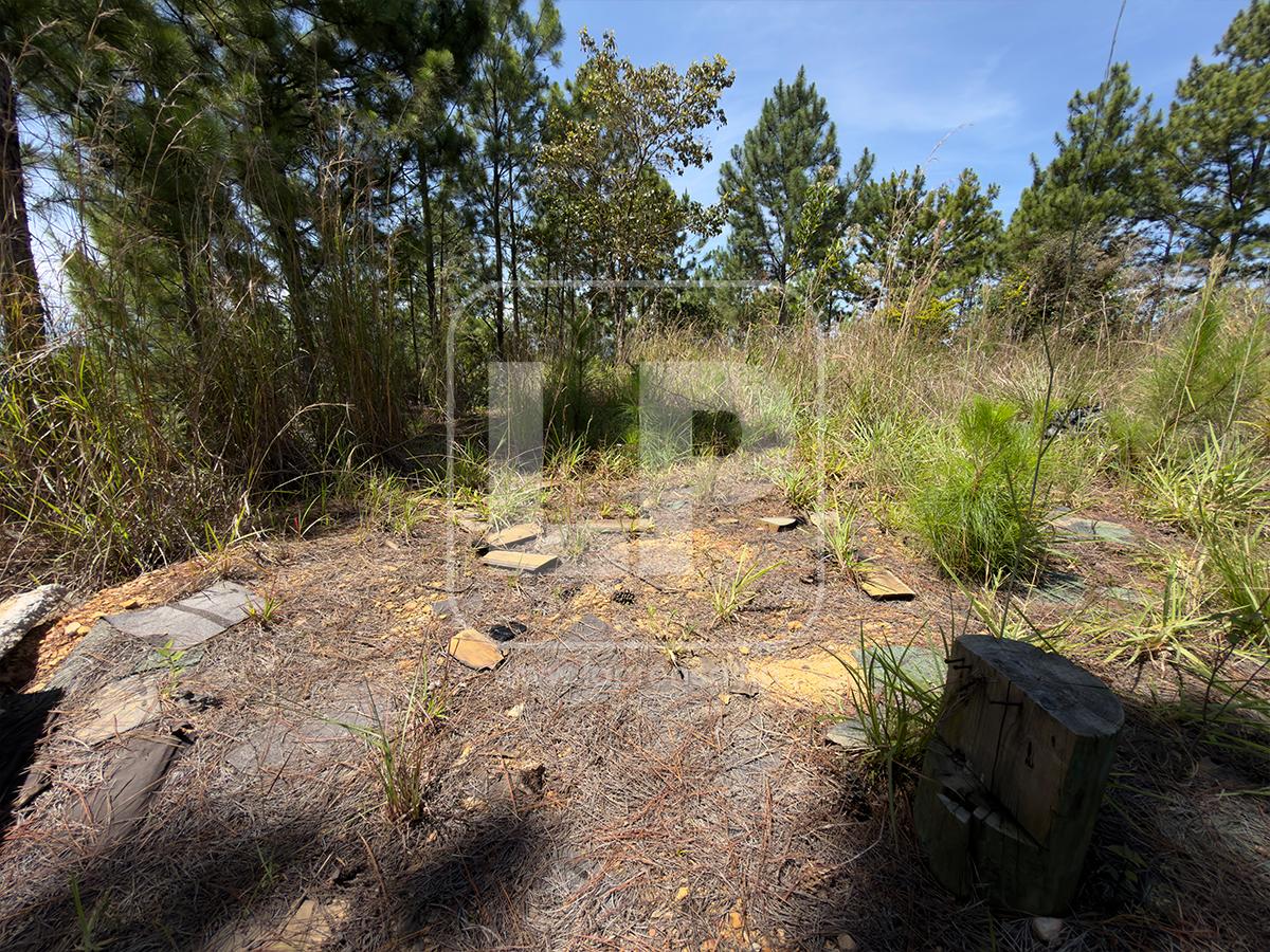 Abandono y deterioro: Así están hoy los bienes de Magdaleno Meza