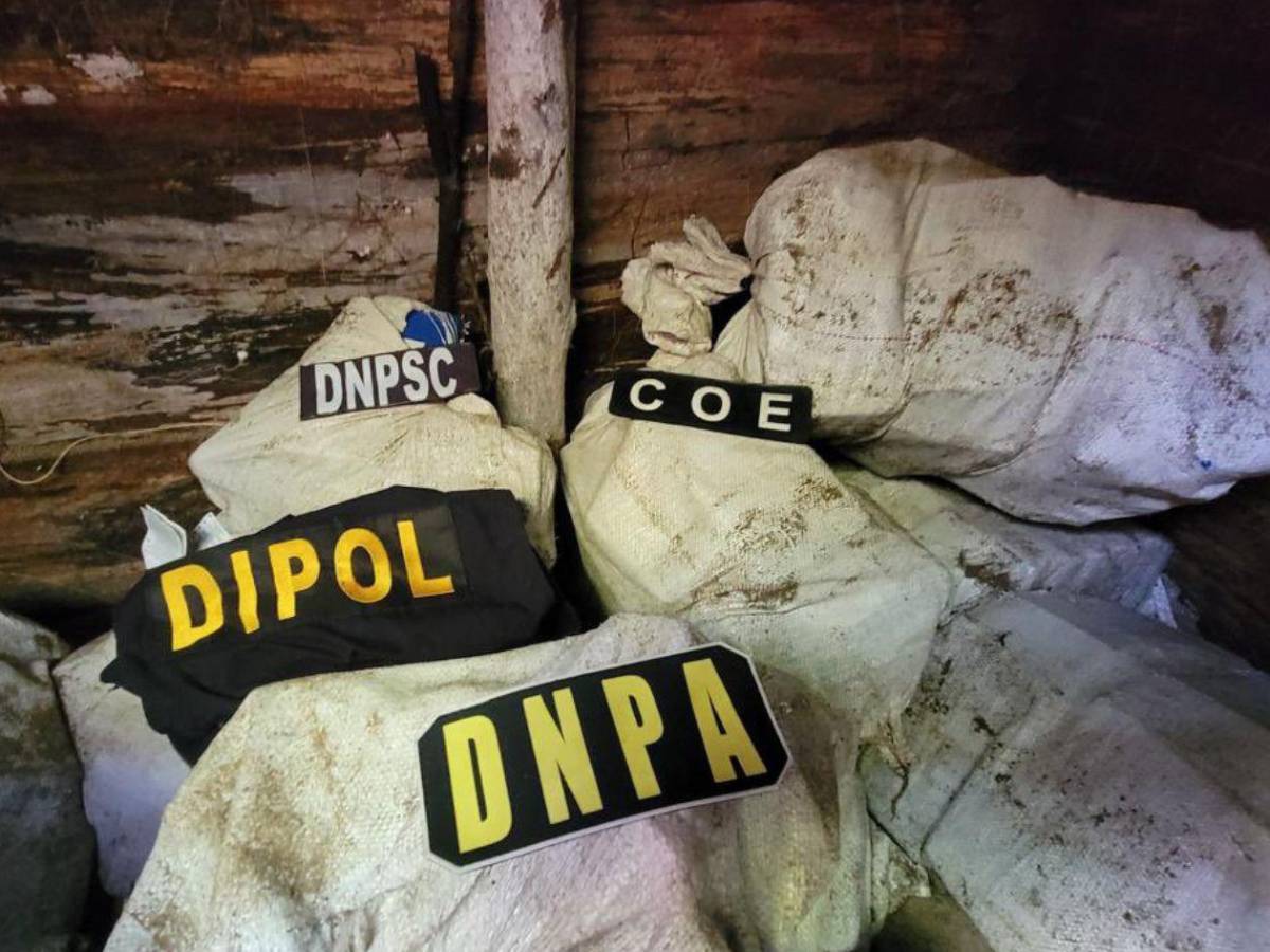 Hallan droga con escudo del Real Madrid enterrada en playa hondureña