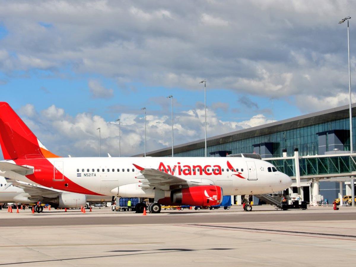 Avianca: habrá vuelo directo entre Honduras y Colombia
